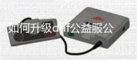 如何升级dnf公益服公会的详细指南