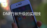 DNF竹林升级的实用技巧与步骤